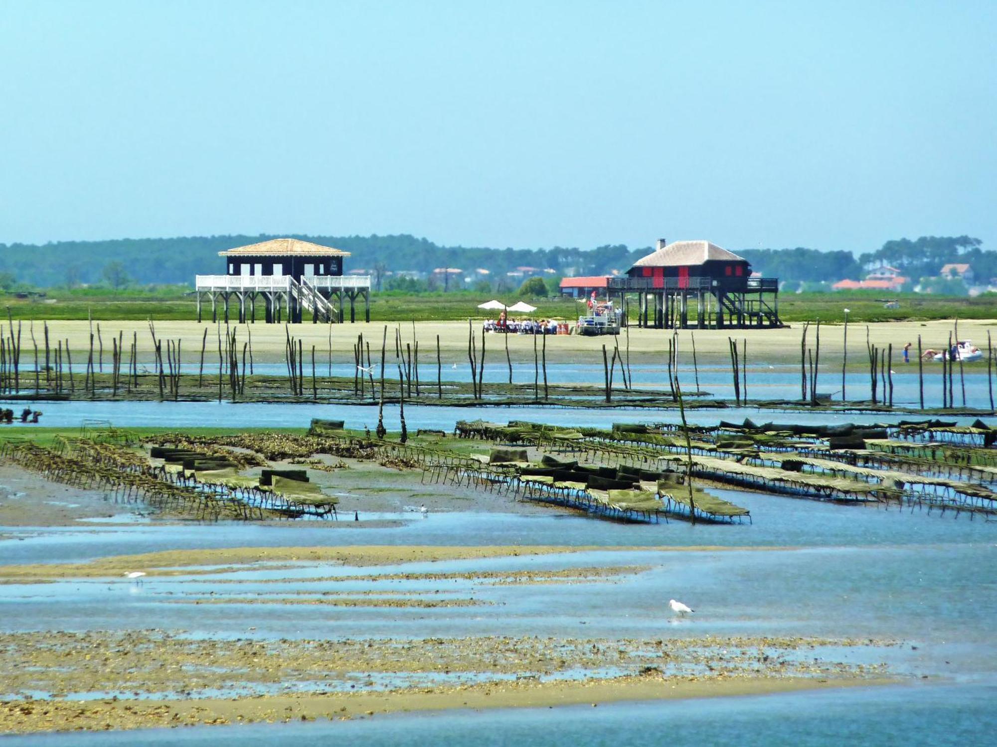 Holiday Home Villa Albertine By Interhome Arcachon Dış mekan fotoğraf